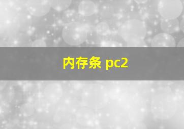 内存条 pc2